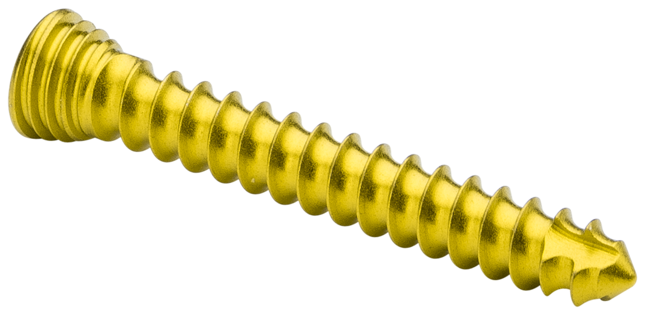 Arthrex - BB-Tak Threaded, qty. 2 - AR-13226T