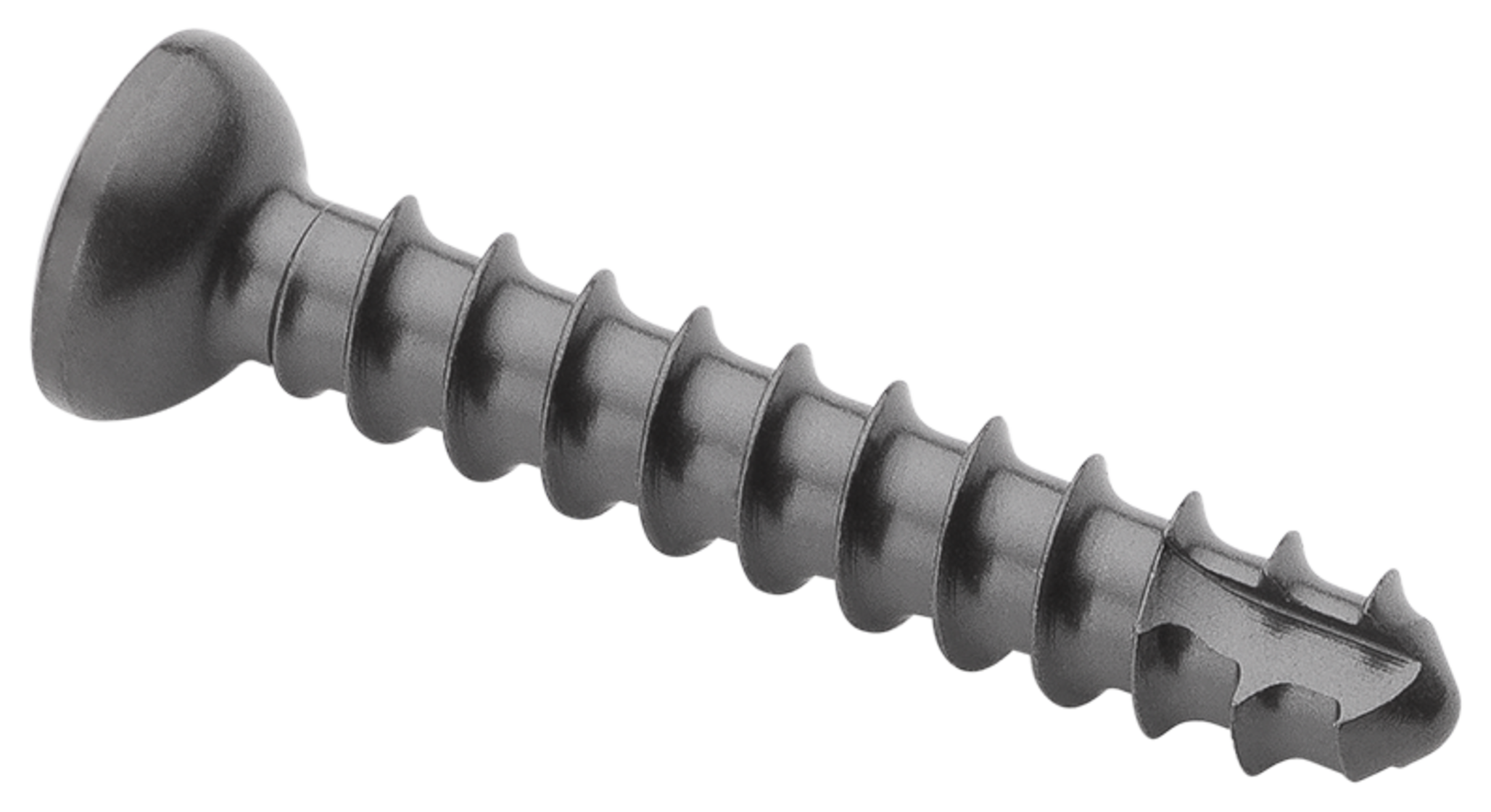 【専用】Lordish Behavior 4/3mm AR-8545L-42.png