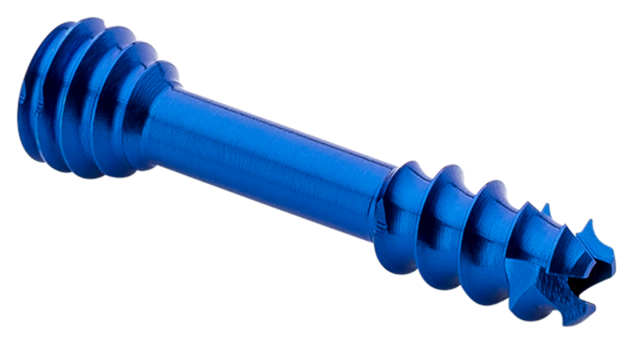 スリープ　ar 15枚 BN36X3 Long Range – Semi-Auto .30-06 / 300 Win Mag AR Rifle