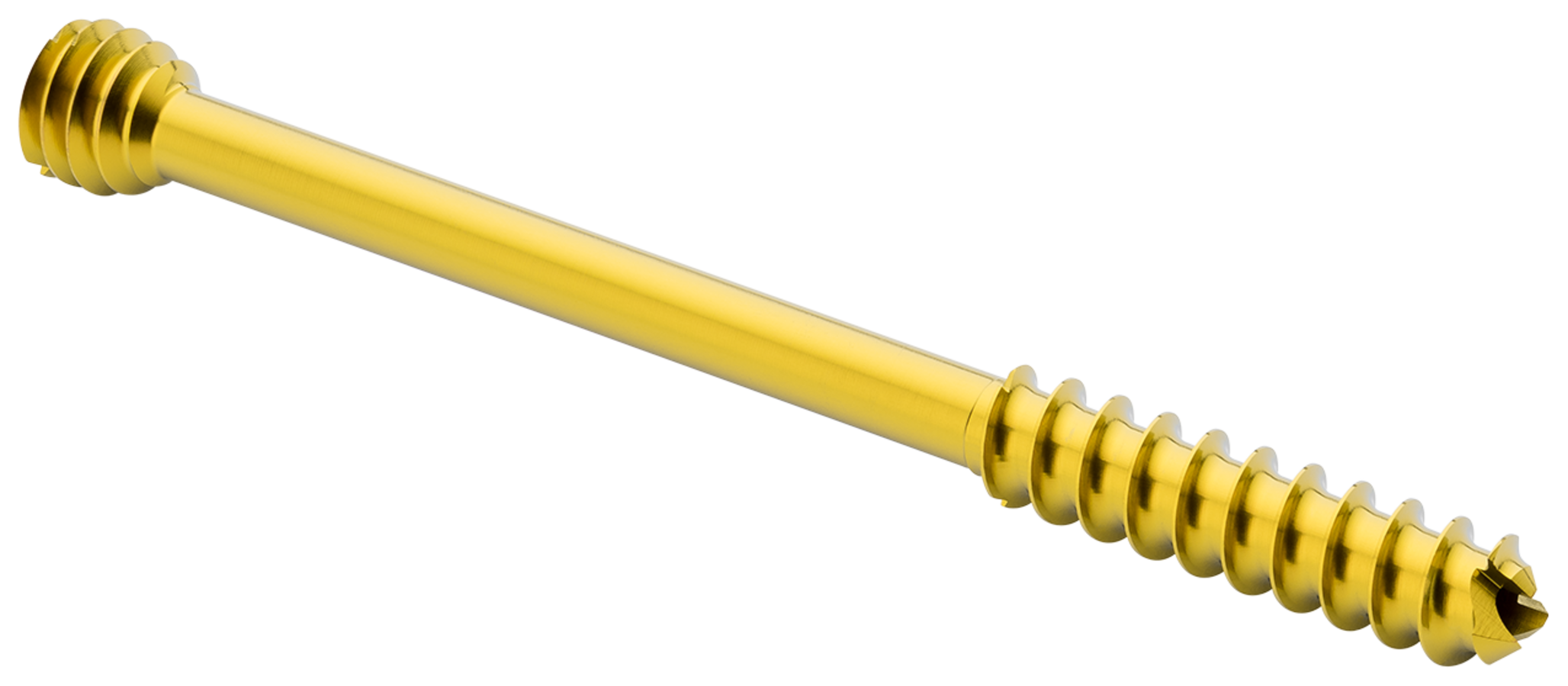 りょう AR-8665-2885.png