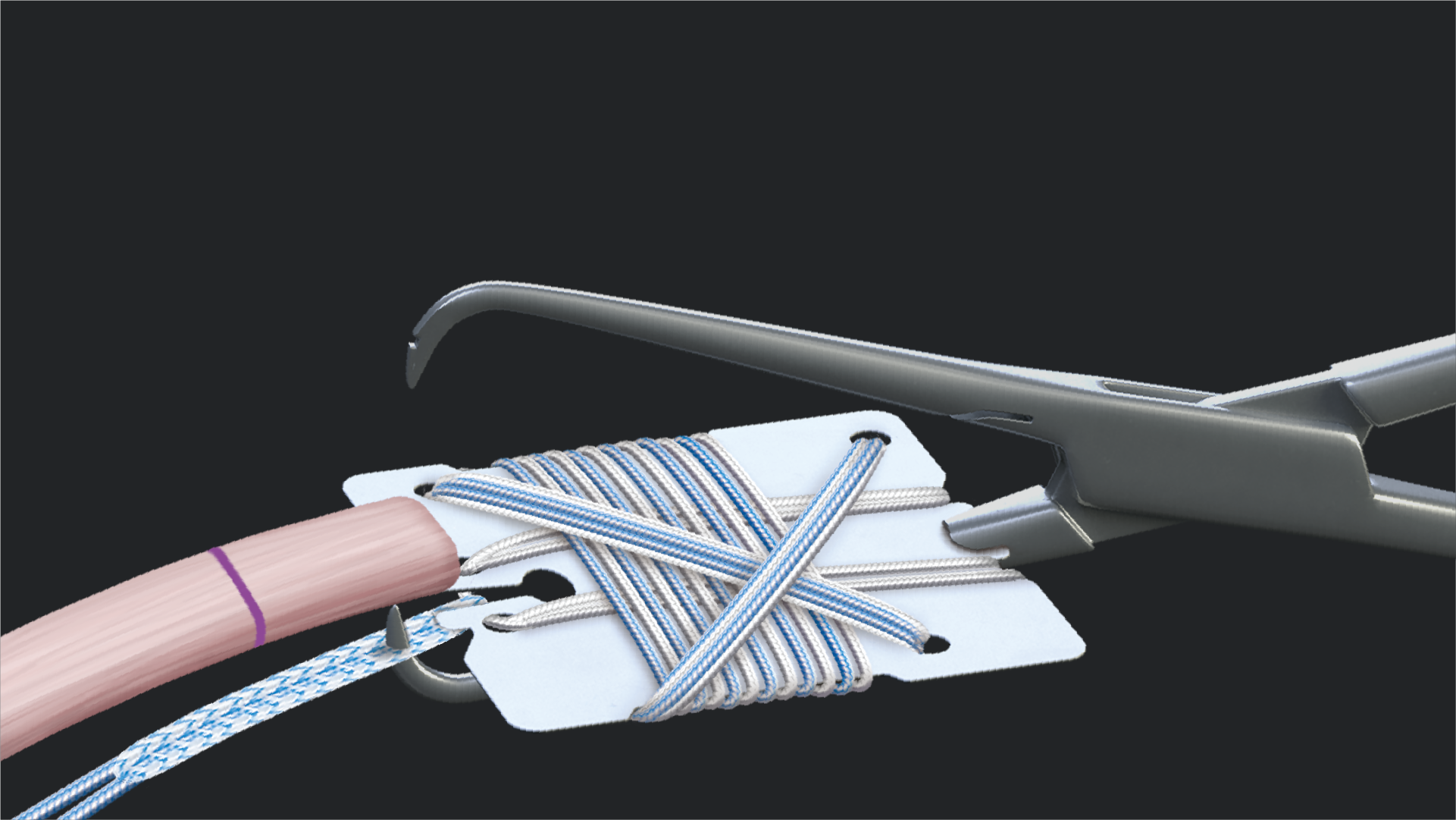 【THEAIRTOWN】tissue embo ops Cryo Embedding and Supplies