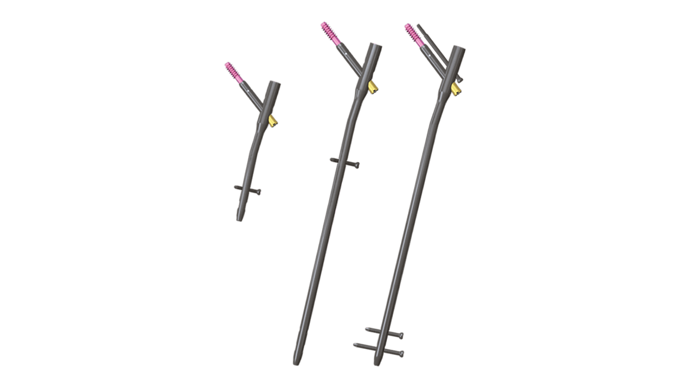Trochanteric Nail System