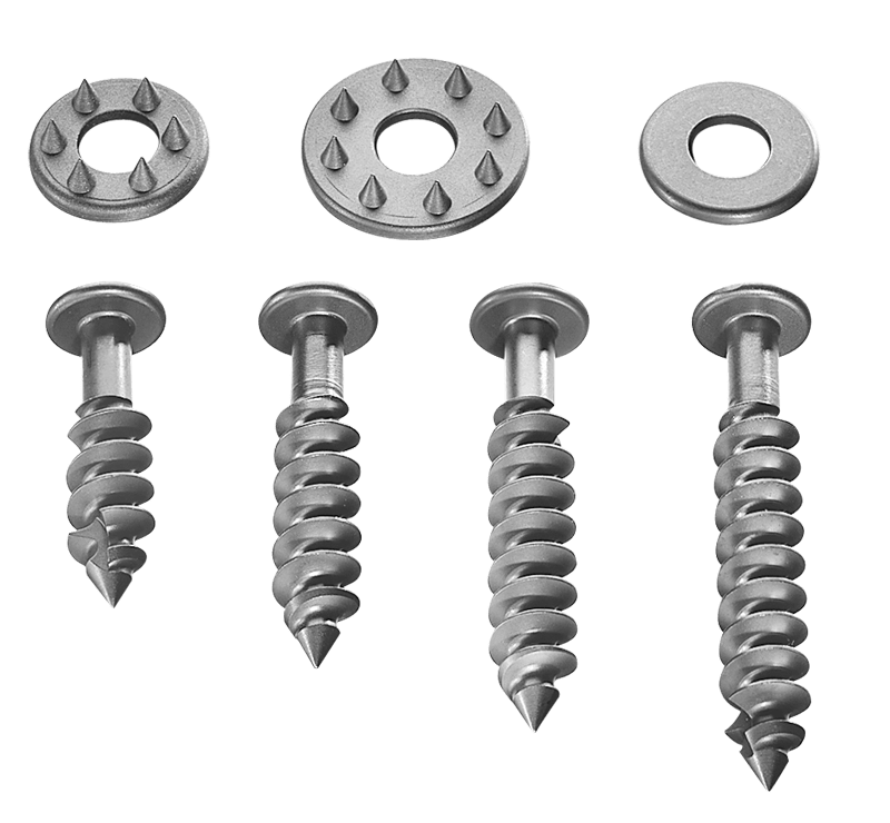 Low Profile Cancellous Screw and Washer