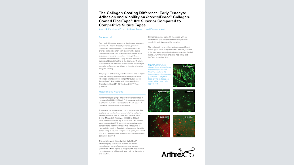 The Collagen Coating Difference: Early Tenocyte Adhesion and Viability on InternalBrace™ Collagen-Coated FiberTape® Are Superior Compared to Competitive Suture Tapes