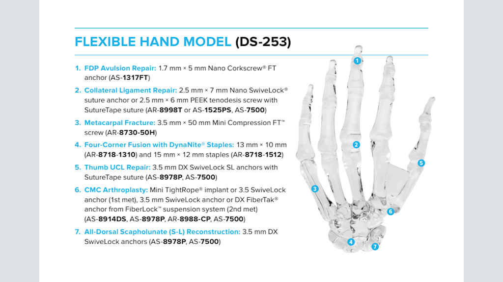 Flexible Hand Model (DS-253) Demo Card