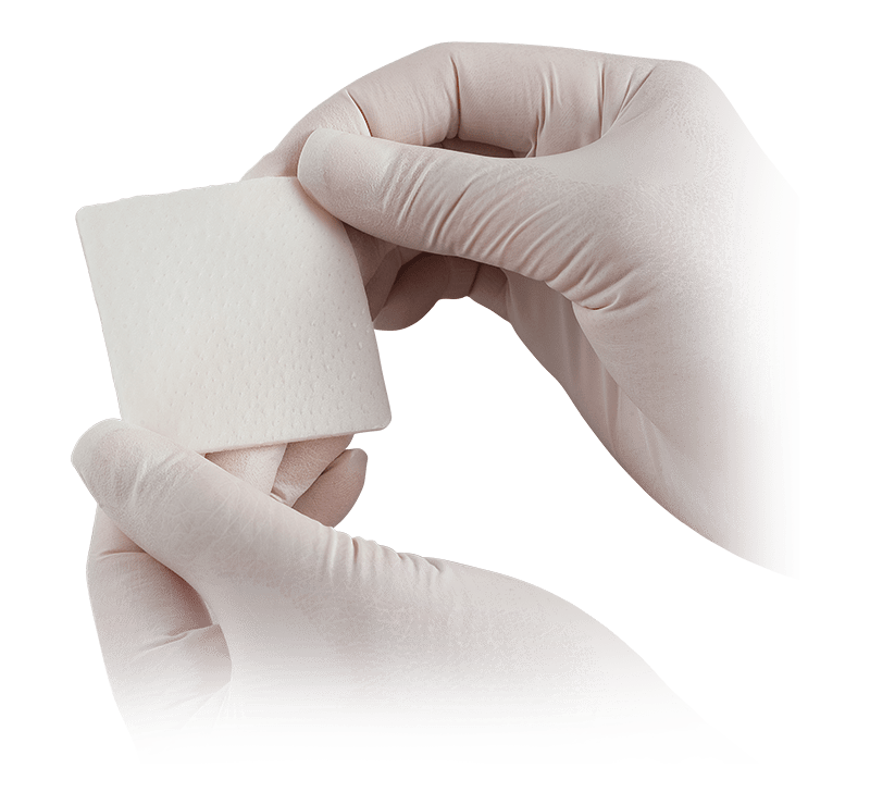 Xenograft Soft Tissue