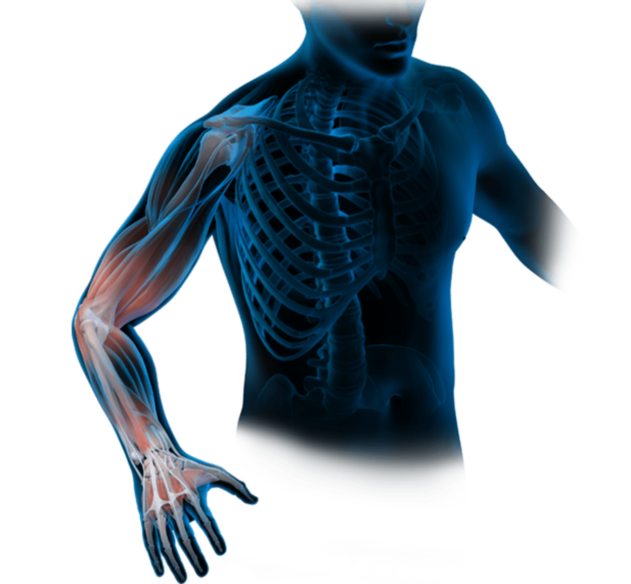 Arthrex - AAOS 2026 Annual Meeting: Hand, Wrist, and Elbow Feature Products