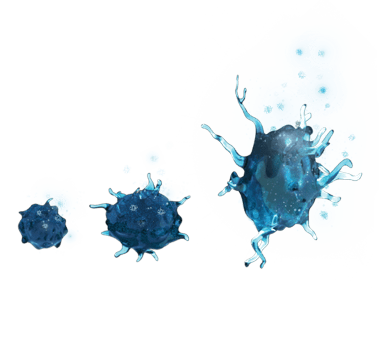 <p>AAOS 2025 Annual Meeting: Orthobiologics Feature Products</p>