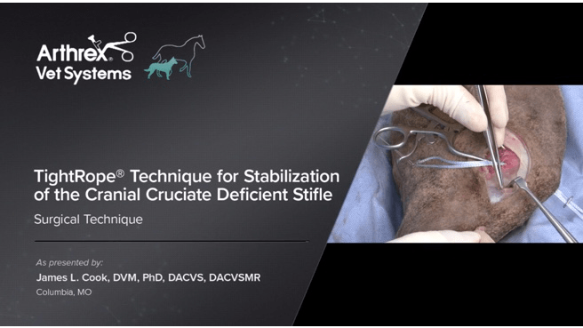 TightRope® Technique for Stabilization of the Cranial Cruciate Deficient Stifle