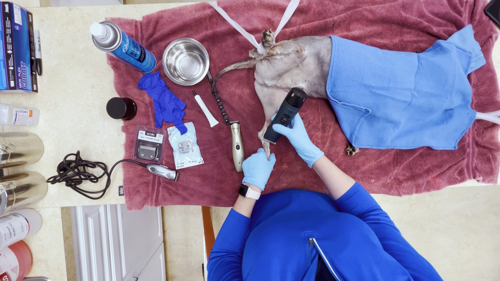 Proper Maintenance of Hair Clippers