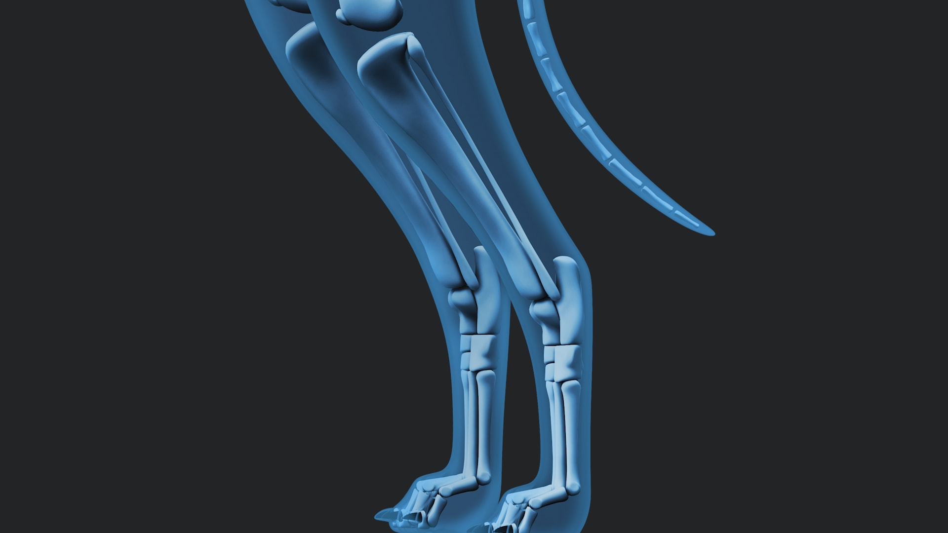 Approach to the Lateral Femur