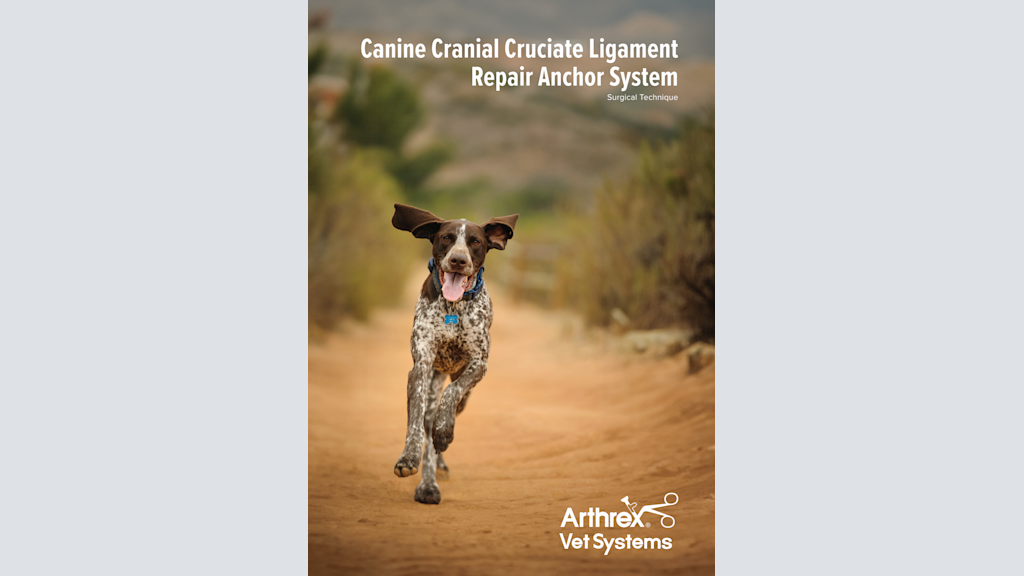 Canine Cranial Cruciate Ligament Repair Anchor System