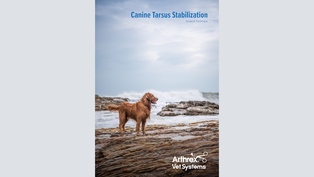 Canine Tarsus Stabilization