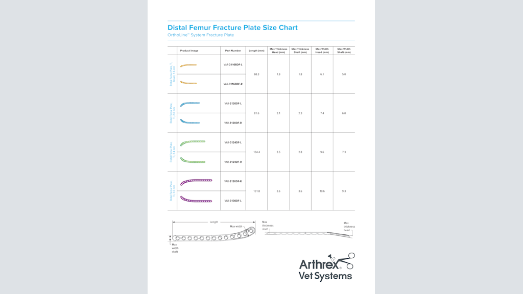 Distal Femur Fracture Plate Size Chart