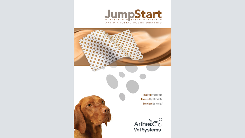 JumpStart ANTIMICROBIAL WOUND DRESSING