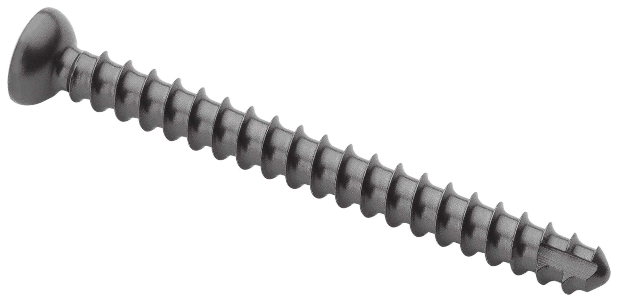 Arthrex - Low Profile Screw, 2.4 mm x 24 mm, Cortex - AR