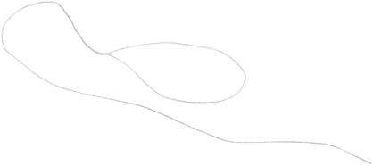 TigerLink #2/5 metric, Geflochtener Polyblend Faden, weiß/schwarz, 66.0 cm, m. 3.8 cm Schlinge an einem Ende