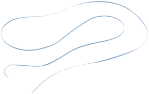 SutureTape, blau, 1.3 mm, mit halbkreisförmiger Nadel, 36.6 mm, VE 12