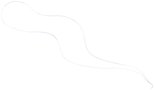 FiberLoop 0.9 mm SutureTape, White/Blue Looped With Attached Needle(curved needle, multi-pack)