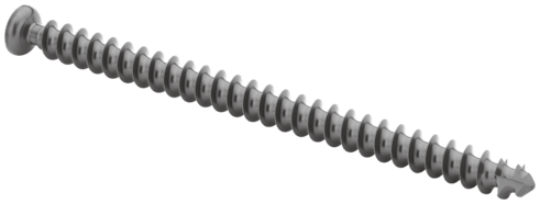 Low Profile Screw, 5.5 x 80 mm, Titanium