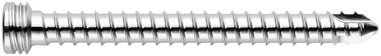 TPLO Locking Screw, 4.5 x 48 mm