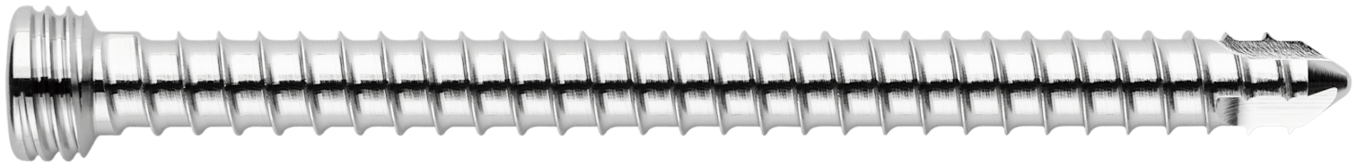 TPLO Locking Screw, 4.5 x 58 mm