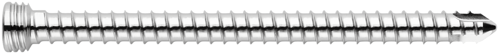 TPLO Locking Screw, 4.5 x 65 mm