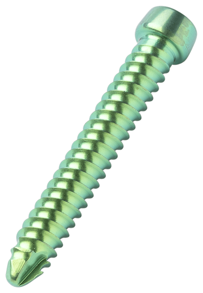 WORKHORSE SCREW, Ø3.5mm x 24mm