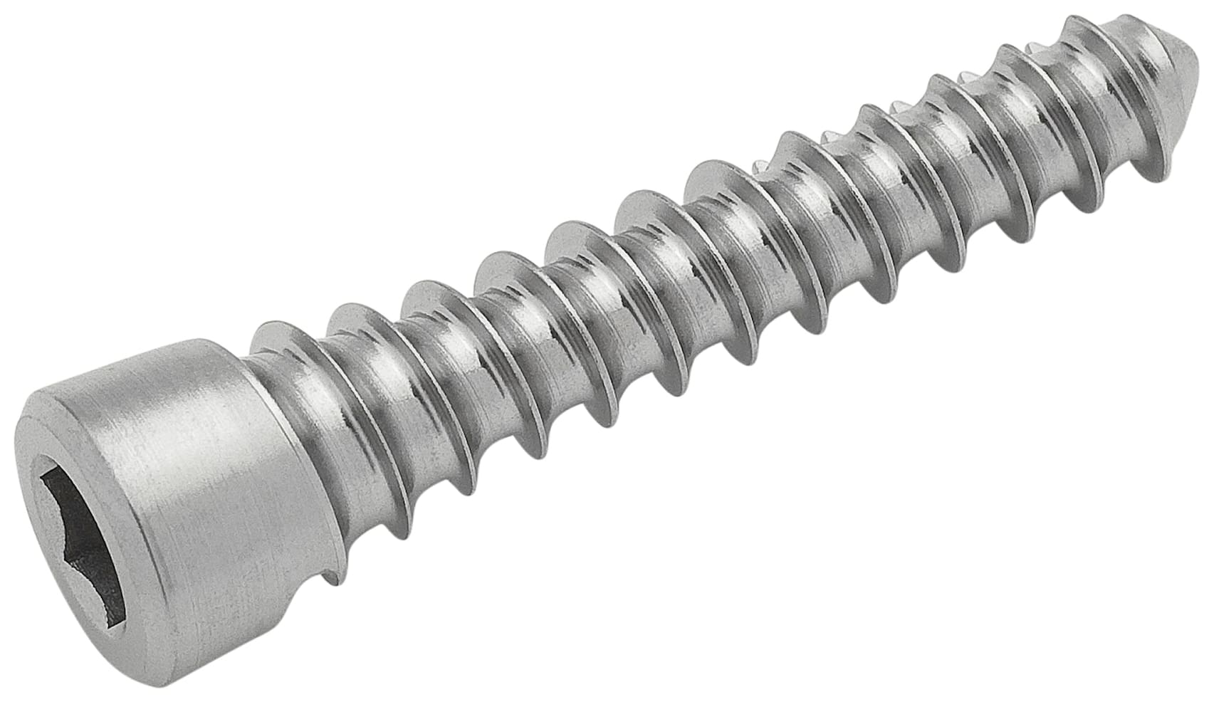 Screw, Cortical, 4.5 x 28 mm