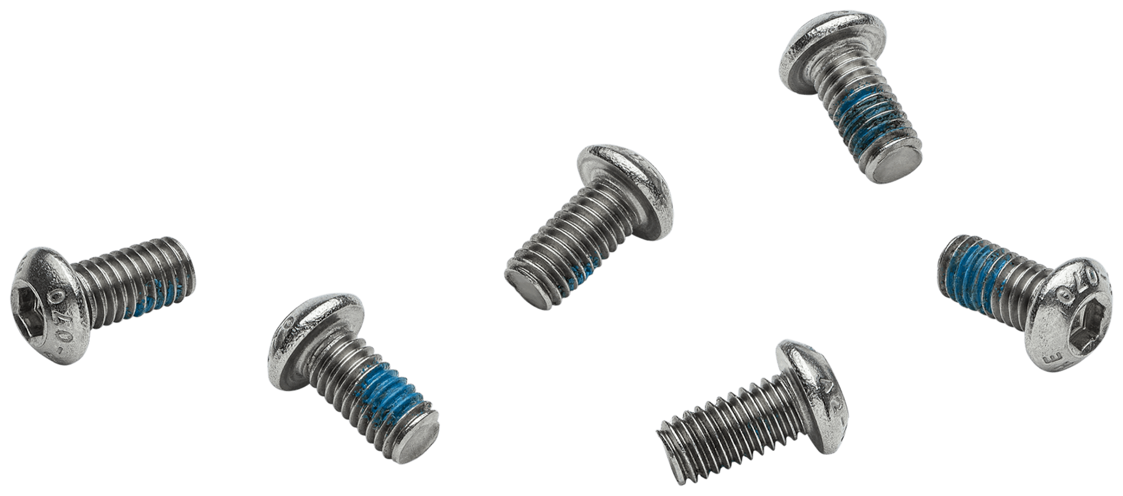 Channel Nut Screws (qty: 6)