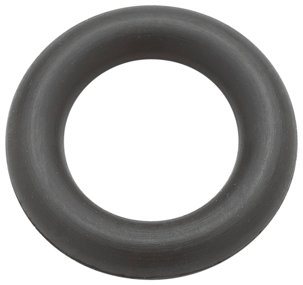 O-Ring, Removable Valve