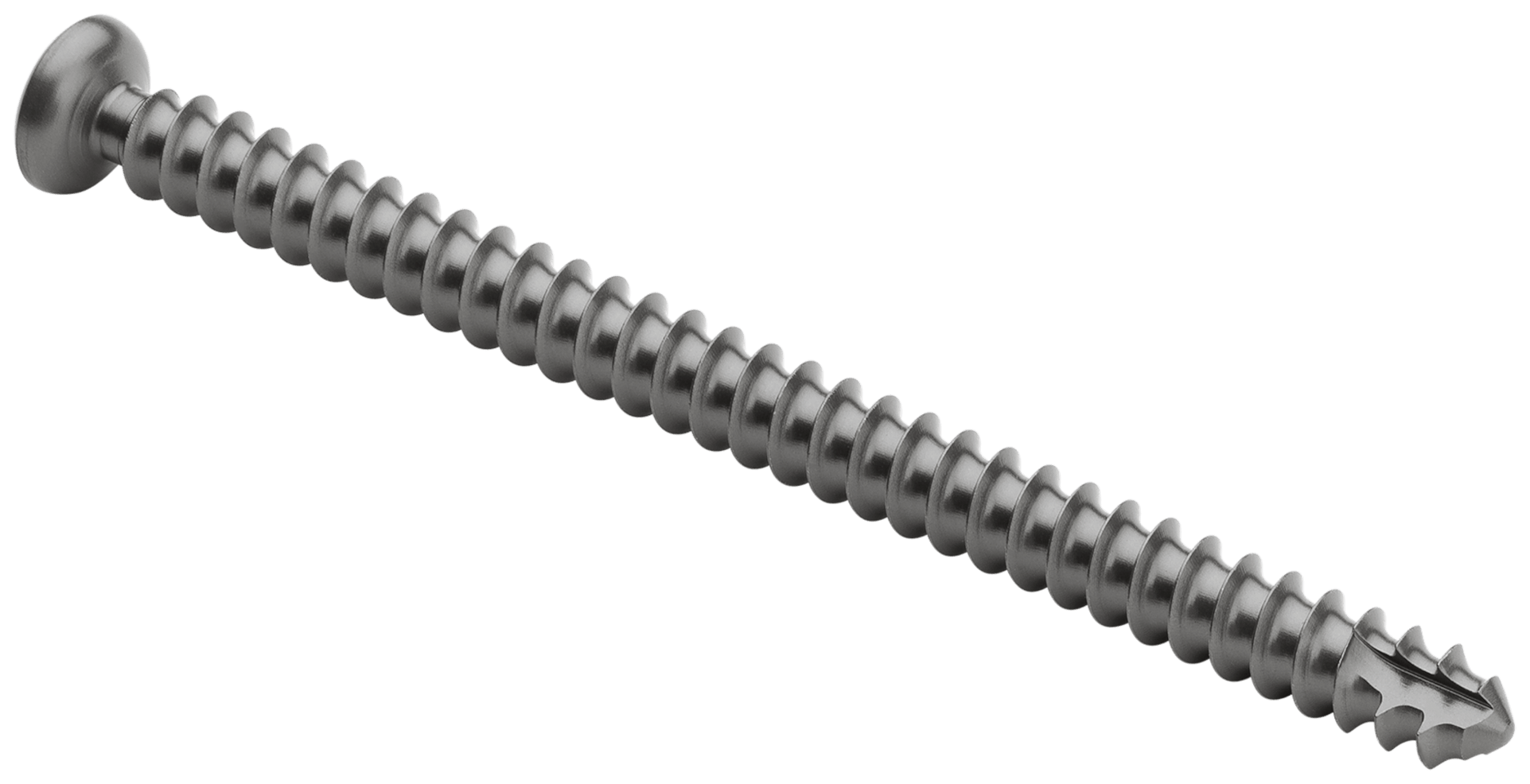 Low Profile Screw, Titanium, 4.5 x 100 mm