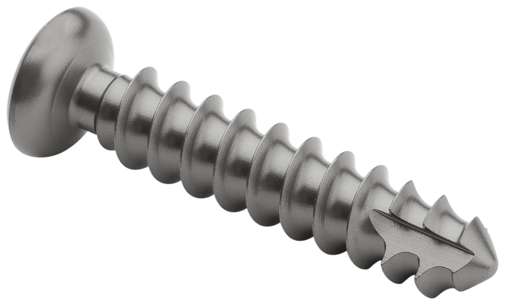 Low Profile Screw, Titanium, 4.5 x 24 mm