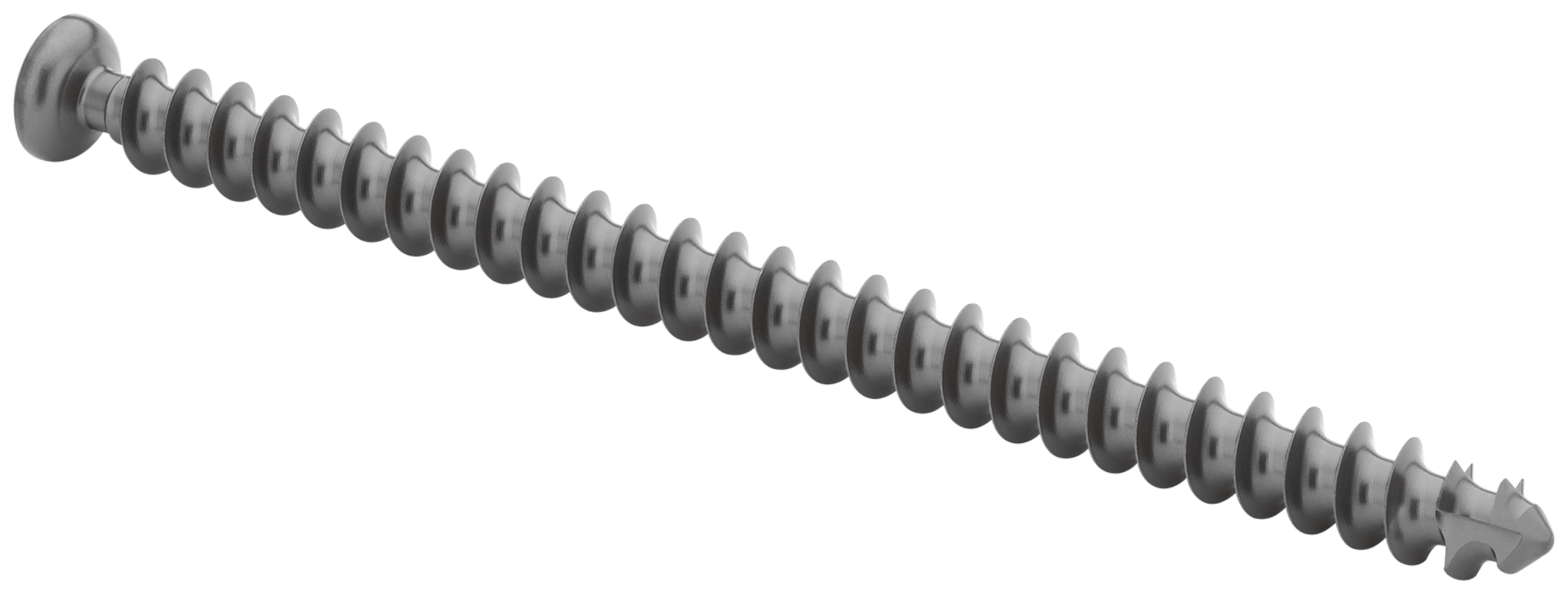 Low Profile Screw, 5.5 x 100 mm, Titanium