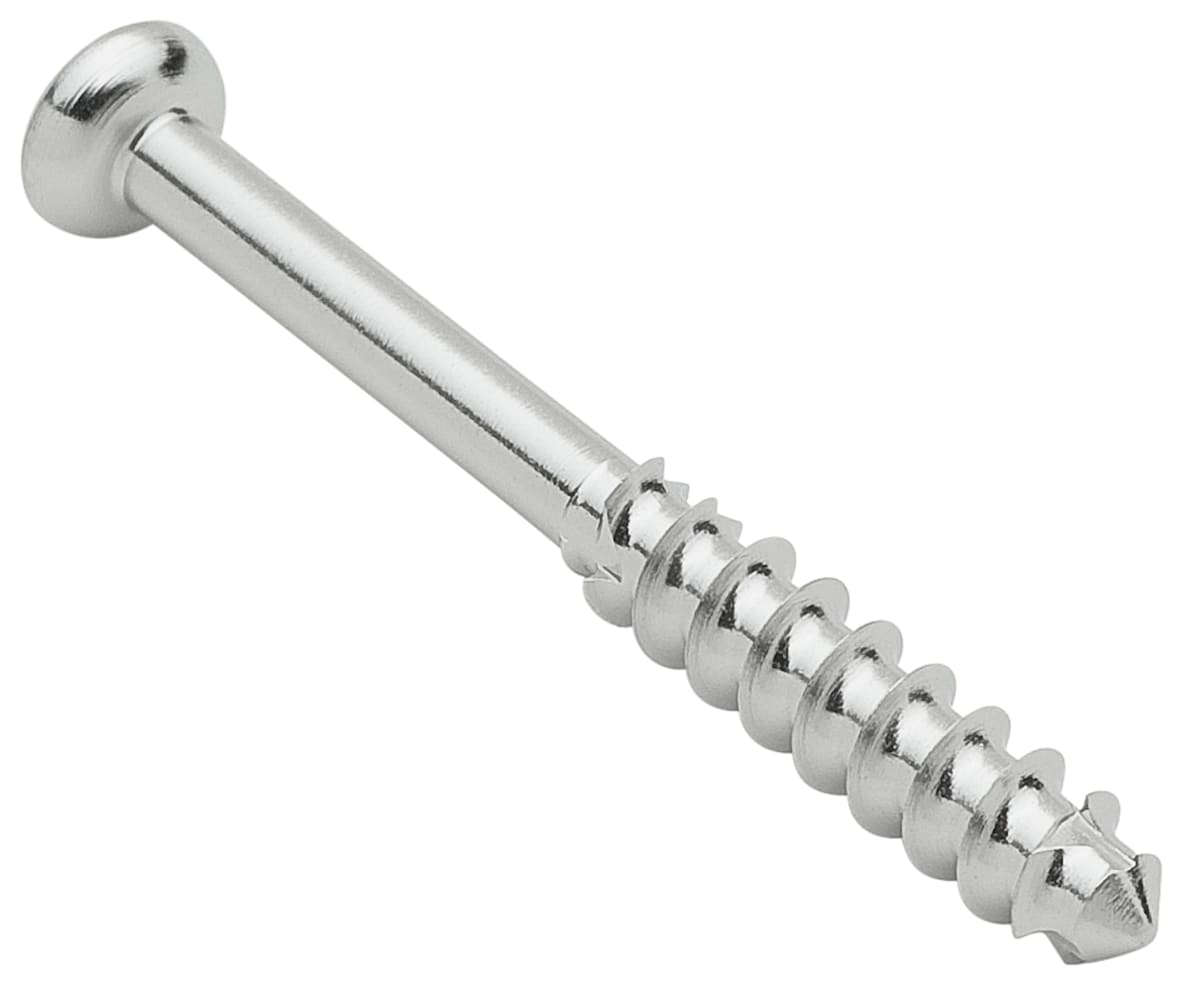 Low Profile Screw, SS, 4.0 x 36 mm, Long Thread