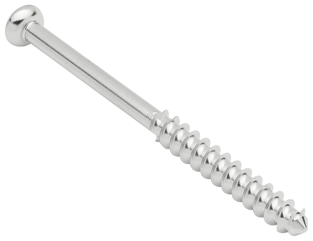 Low Profile Screw, SS, 4.0 x 50 mm, Long Thread