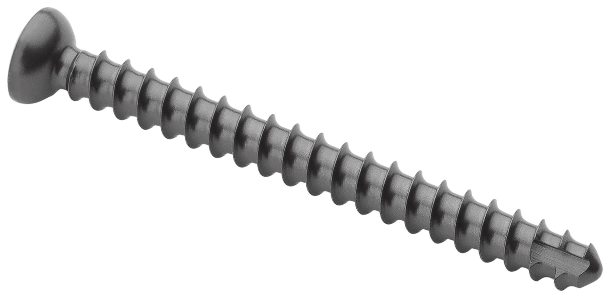 Low Profile Screw, 2.4 mm x 24 mm, Cortex