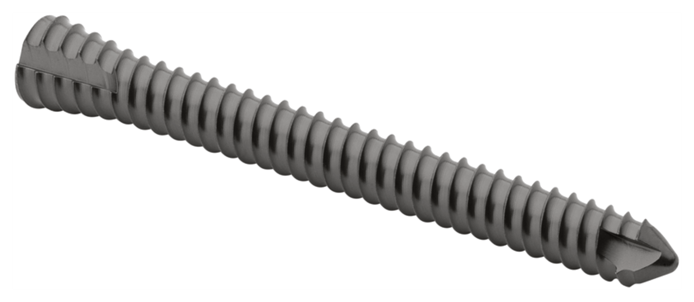 Headless Cortical Screw, 5.0 x 50 mm