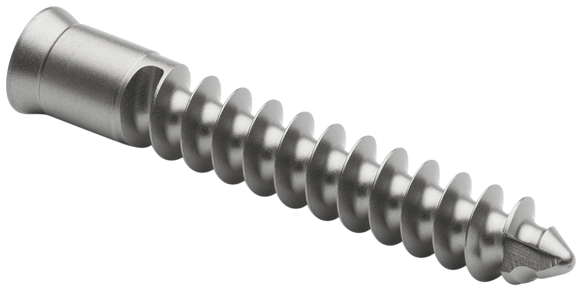 Peripheral Screw, Non-Locking, Univers Revers, 4.5 x 36 mm