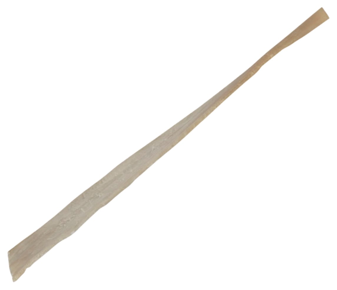Peroneus Longus Tendon, short length, D = 8 mm- 11 mm, L = 170 mm-200 mm