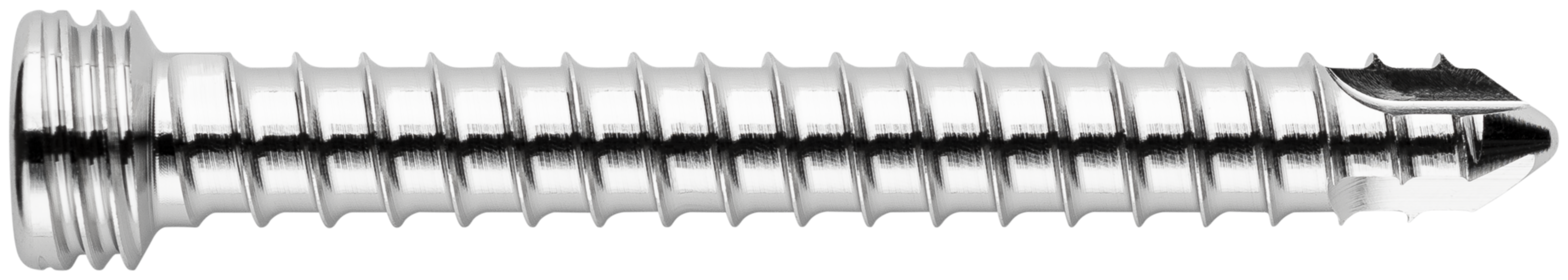 TPLO Locking Screw, 4.5 x 40 mm