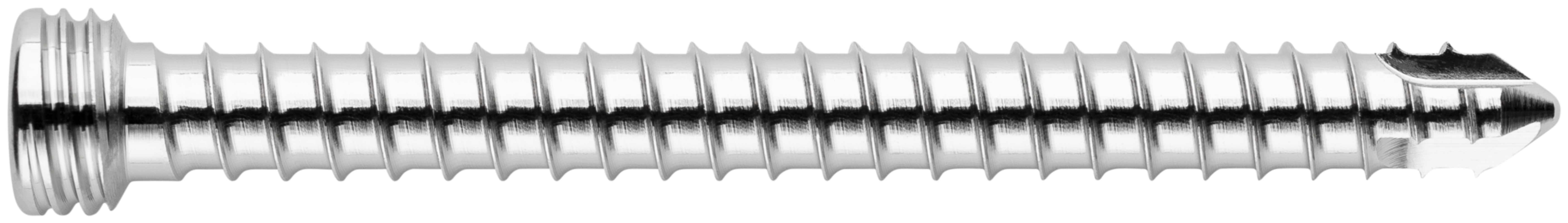 TPLO Locking Screw, 4.5 x 50 mm