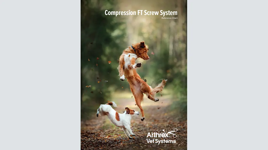 Compression FT Screw System