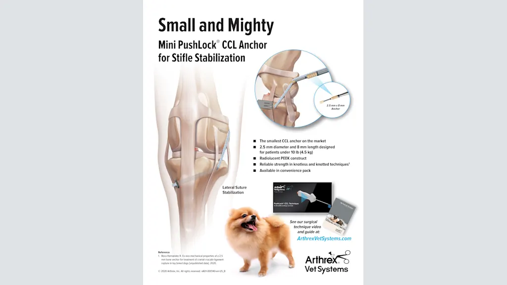 Small and Mighty Mini PushLock® CCL Anchor for Stifle Stabilization