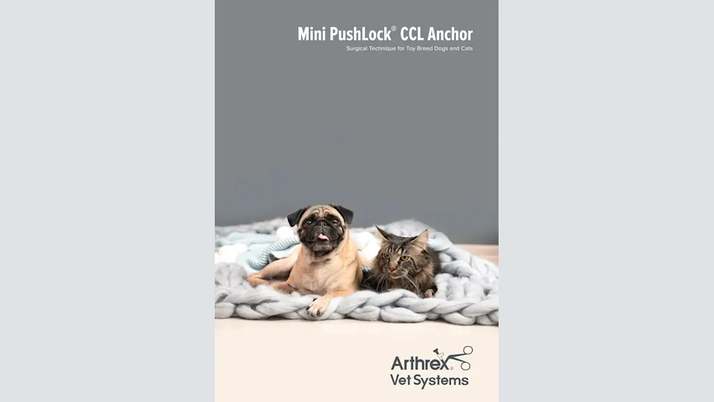 Mini PushLock® CCL Anchor