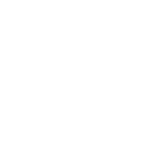 A basic white outline of foot and ankle bones.