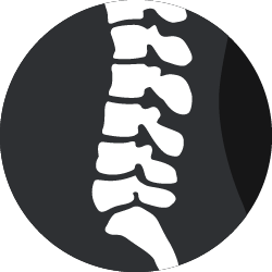 A basic white outline of the spine.