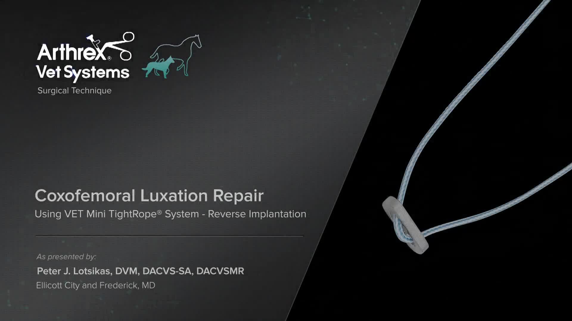 Small animal surgery 上下 COOK G26867 Percutaneous Entry Thinwall Needle Catheter